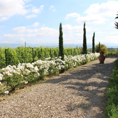 villa la valiana tuscany