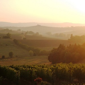 villa la valiana tuscany