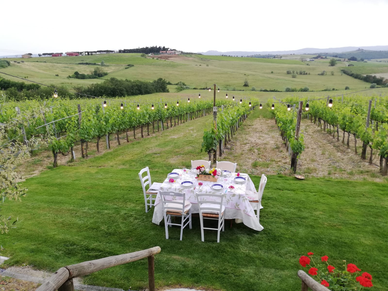 Dolce Vita Experiences in Tuscany