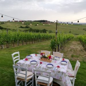 Dinner in the Vineyard private villa