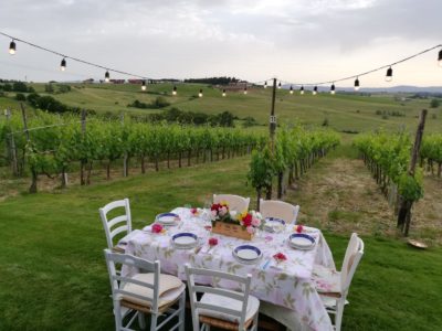 Dinner in the Vineyard private villa