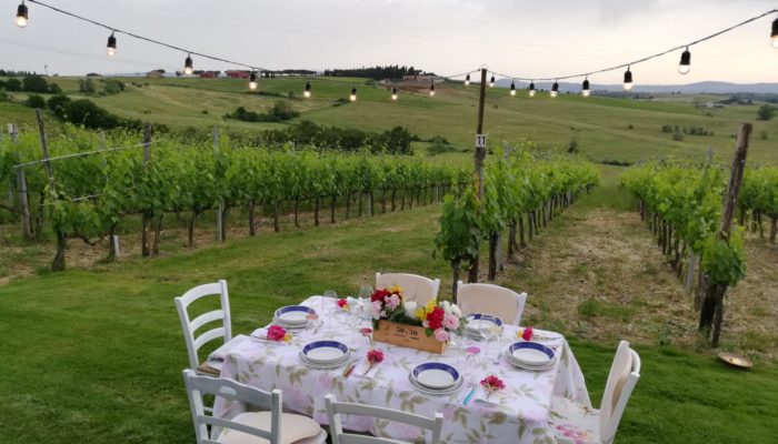 Dinner in the Vineyard private villa