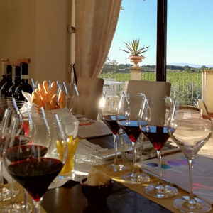 Personal sommelier wine tasting in villa